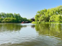 -溱湖国家湿地公园