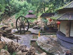 -莫里热带雨林景区