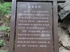 -阳台山自然风景区