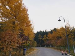 -北京宽沟会议中心