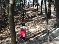-火炉山森林公园