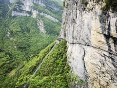 -鹿院坪生态旅游景区