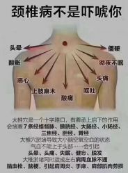 -香薇妮丝·定制减肥·身材管理