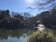 -井之头恩赐公园