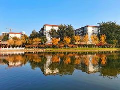 -西海子公园