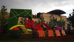 -Early Rider 儿童自行车(蓝色港湾店)