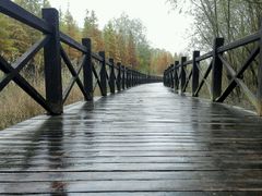 -明珠湖天鹅苑·农家菜馆