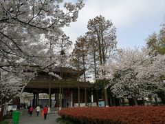 -堤角公园