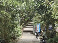 -仙岳公园