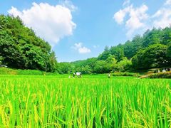 -韶山毛泽东同志故居