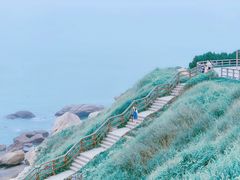 -燕儿岛山公园