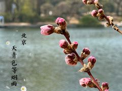 -国家植物园