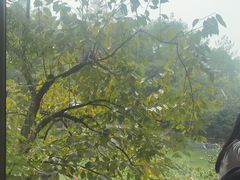 -仙店农庄(湖景农庄餐厅)