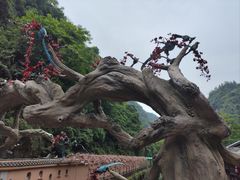 -车溪民俗旅游区