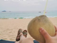-亚龙湾热带天堂森林公园