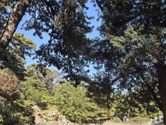 -香山公园