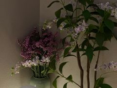 -大鱼·养生·禅洗头疗·按摩SPA
