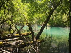 -叠溪松坪沟景区