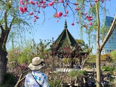 -无锡蠡湖国家湿地公园-蠡园