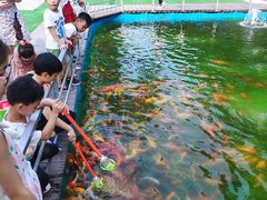 -长洲岛都市农业公园