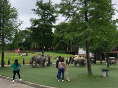 -保利石象湖景区