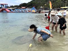 -海南分界洲岛旅游区