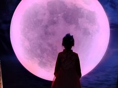 -天津梵高星空艺术馆(天河城旗舰店)