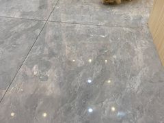 -爪爪喵星球·猫舍(前海卓越店)