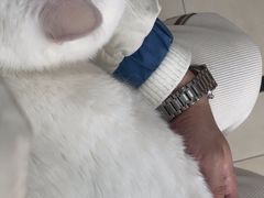 -宠福鑫康馨动物医院·骨科·眼科