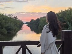 -黄海国家森林公园