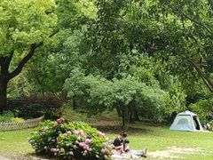 -绿荫坊餐厅(共青森林公园店)