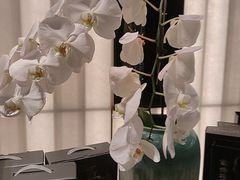 -浩运海鲜·16年专注青岛菜(石老人店)