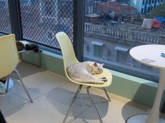 -怪兽屋·羊驼·猫咖·狗咖(俊华广场店)