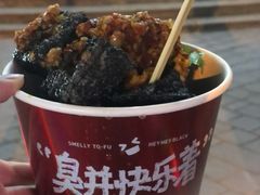 -黑色经典臭豆腐·湖南特产(坡子街店)