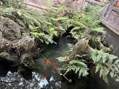 -宝光寺