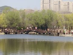 -前关湿地公园