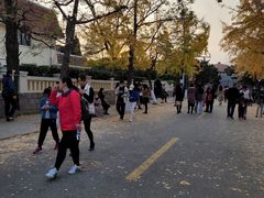 -八大关景区