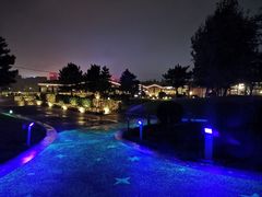 -莫子山公园