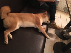 -小时光咖啡馆(北锣鼓巷店)