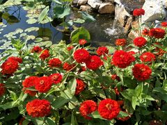 -长春公园(普阳街道)