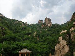 -大岭沟猕猴桃谷风景区