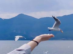-海埂大坝