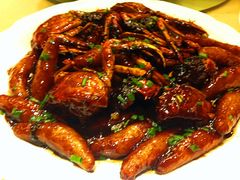 毛蟹年糕-新南华大酒店(广中店)