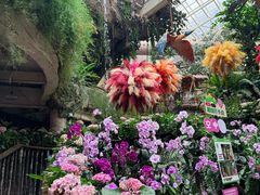 -正佳雨林生态植物园