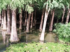 -捞渔河湿地公园