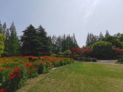 -上海滨江森林公园