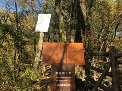 -王顺山国家森林公园