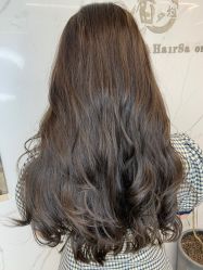 -潘多拉Hairsalon