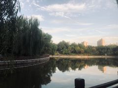 -迎泽公园