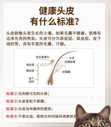 -Bollins波林丝•专研护发中心